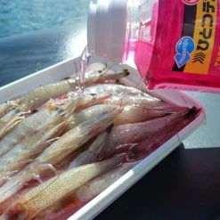 Appâts|Leurres - MARUKYU Attractant EBISHAKI