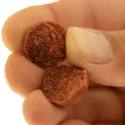 Offre À Volume Carpe|Appâts Et Fabrication - CAP RIVER Bouillettes Indian Spice 1kg