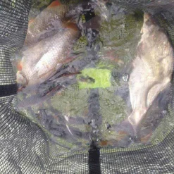 Viviers / Aérateurs - MADCAT Bourriche silure floating bait station