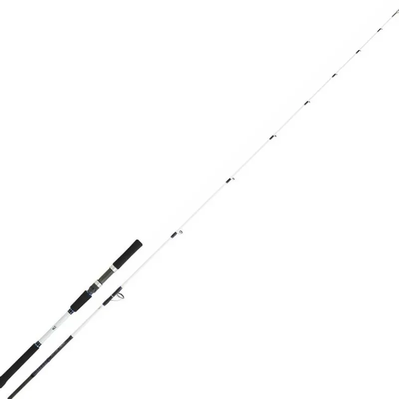Cannes - DAIWA Canne bay jiggin saltist off shore 2.06m 60/150g