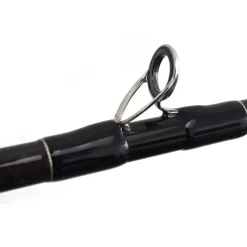 Cannes - TENRYU Canne Casting Injection BC 73 H Pike Special 2.21m, 20-80g