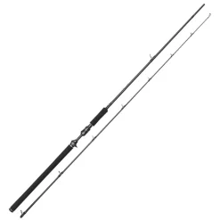 Cannes - WESTIN Canne Casting W3 Powercast-T 3rd 2.51m, 20-80g
