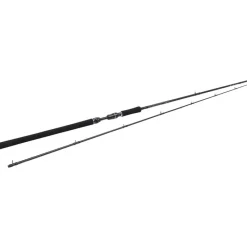 Cannes - WESTIN Canne Casting W3 Powercast-T 3rd 2.51m, 20-80g