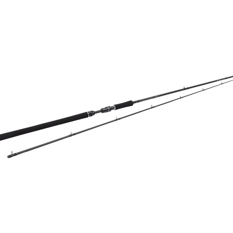 Cannes - WESTIN Canne Casting W3 Powercast-T 3rd 2.51m, 20-80g