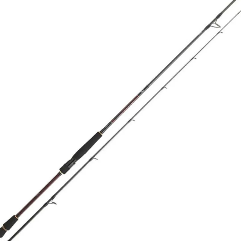 Cannes - DAIWA Canne Infeet Seabass 2.13m 7-28g