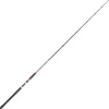 Cannes - DAIWA Canne megaforce big fish 3.60m