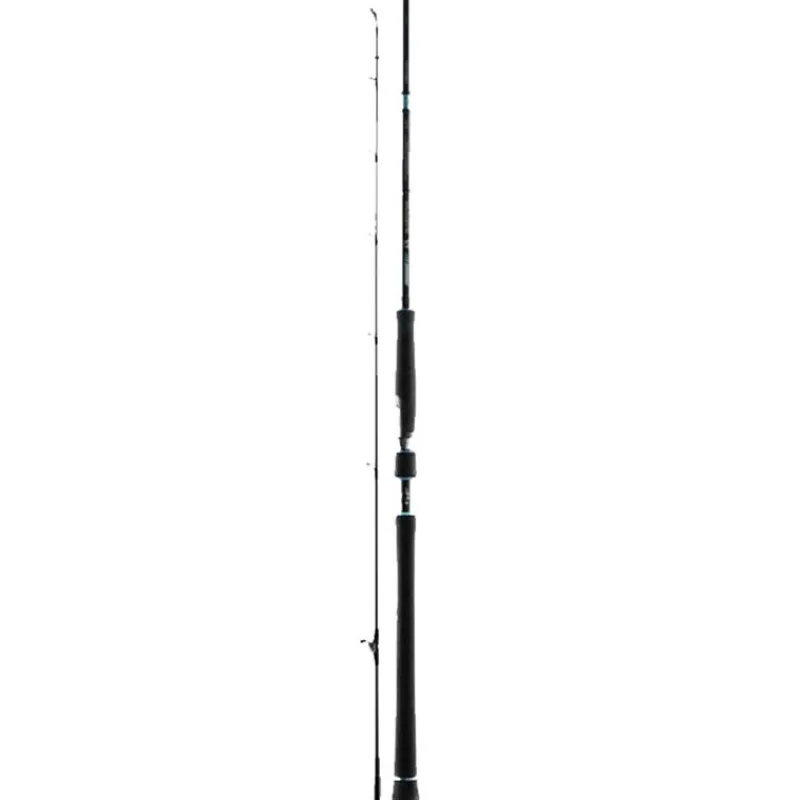 Pêche Du Thon|Cannes - FAVORITE Canne SX10 Offshore 40-120g