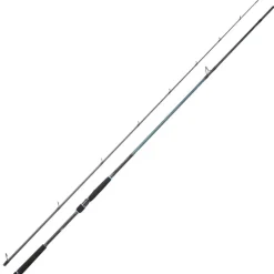Pêche Aux Leurres|Cannes - DAIWA Canne Spinning Caldia Seabass 702XHFS 2m13 28-84g