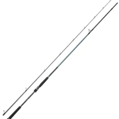 Pêche Aux Leurres|Cannes - DAIWA Canne Spinning Caldia Seabass 702HFS 2m13 14-42g