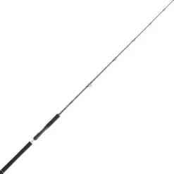 Cannes - DAIWA Canne Spinning Legalis Jigging 1.98m