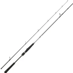 Cannes - DAIWA Canne Spinning Saltist Seabass 2m13 14-42g