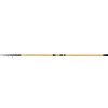 Cannes - SHIMANO Canne spinning Beastmaster FX Surf Tele 170g 4m25