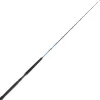 Cannes - DAIWA Canne Traine Tanacom Boat 2m