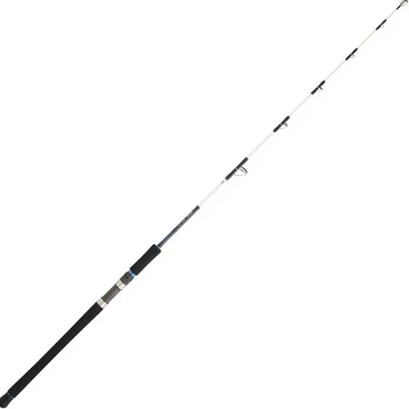 Cannes - DAIWA Canne vertical jigging saltist offshore vj 55 1.65m 100-300g