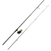 Ensembles - TEAM CARPFISHING Combo Process 12' 2.75lbs + 5000 FD