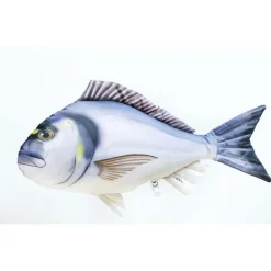 Goodies Et Idées Cadeaux - GABY Coussin Dorade Royale  Medium 60cm