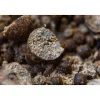 Appâts Et Fabrication - CAP RIVER Dumbell Gold Crayfish pot de 35gr