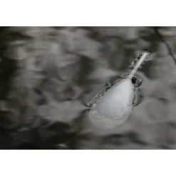 Acc.Montages/Hameçons - KORDA Flotteur stalking interceptor float