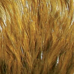 Fly Tying - JMC Fly fishing plumes cou indien top grade