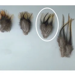 Fly Tying - JMC Fly tying plumes de pardo demi pelle grade 1