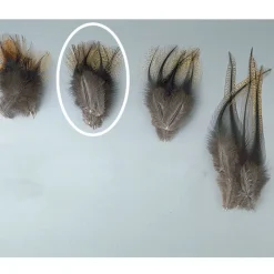 Fly Tying - JMC Fly tying plumes de pardo pelle de cape grade 1