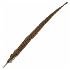Fly Tying - JMC Fly tying plume de queue de faisan naturel
