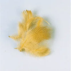 Fly Tying - JMC Fly tying plume flanc de canard été