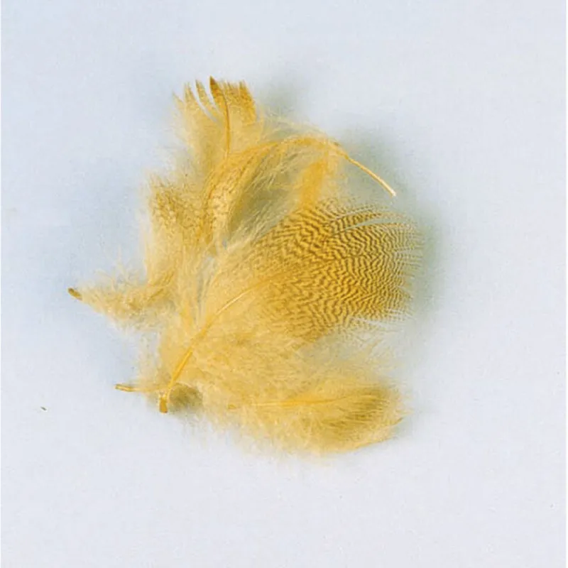 Fly Tying - JMC Fly tying plume flanc de canard été
