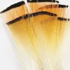Fly Tying - JMC Fly tying plumes colerette faisan doré