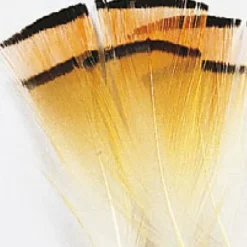 Fly Tying - JMC Fly tying plumes colerette faisan doré