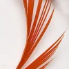 Fly Tying - JMC Fly tying plumes goose biot