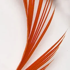 Fly Tying - JMC Fly tying plumes goose biot