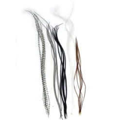 Fly Tying - JMC Fly tying plumes lancettes top grade (6 plumes)