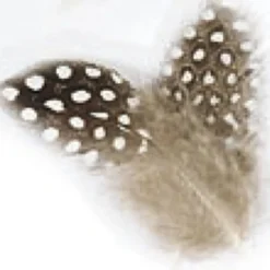 Fly Tying - JMC Fly tying plumes pintade naturelle