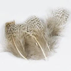 Fly Tying - JMC Fly tying plumes perdrix grise