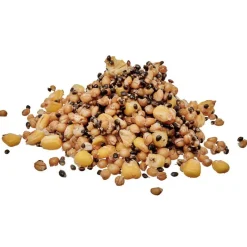 Appâts Et Fabrication - STARBAITS Graines Cuites Ready Seed Spod Mix