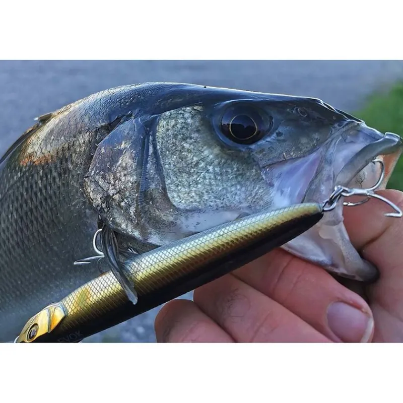 Leurres - EVOK Leurre de Surface Stickbait Loki Stick 110 SW (12.5g)