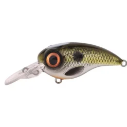 Leurres - SPRO Leurre Dur Crankbait Fat Iris 50 CR 5cm, 10g