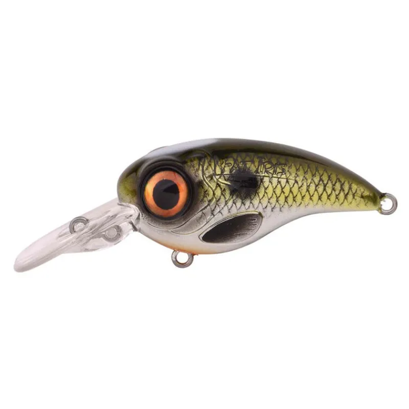 Leurres - SPRO Leurre Dur Crankbait Fat iris 80 CR 8cm, 40g
