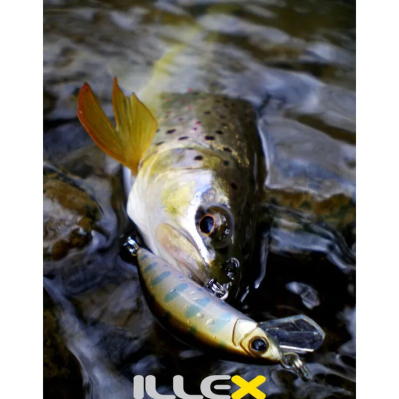 Leurres À Truite|Leurres - ILLEX Leurre Dur Jerkbait Tricoroll 55HW 5.5cm, 4.5g