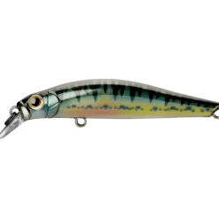 Leurres À Truite - JACKSON Leurre Dur Jerkbait Artist FR55 5.5cm, 4g