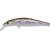 Leurres À Truite|Leurres - JACKSON Leurre Dur Jerkbait Artist 65HW 6.5cm 7.5g