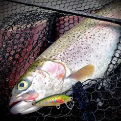 Leurres À Truite|Leurres - RAPALA Leurre Dur Jerkbait Countdown 03 3cm 4g