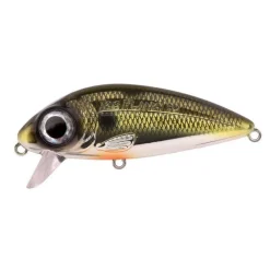 Leurres - SPRO Leurre Dur Jerkbait Iris Flanky 90, 22g