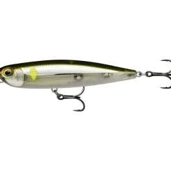 Leurres - RAPALA Leurre Dur Stickbait Precision Xtreme Pencil 10.7cm, 21g