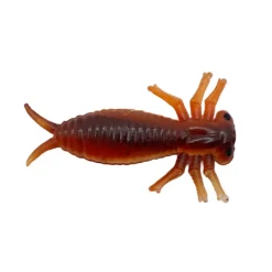 Leurres À Truite|Leurres - DELALANDE Leurre Souple Insecte Morbak 5cm (x3)