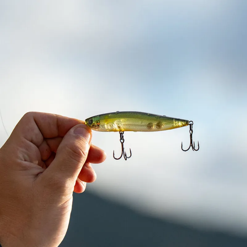 Leurres - EVOK Leurre Stickbait Hypnostick 8.5cm, 11g