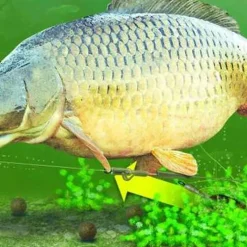 Acc.Montages/Hameçons - KORDA Montage carpe lead clip action pack