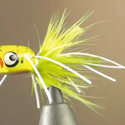 Mouches - JMC Mouche popper bass 50 popper h10