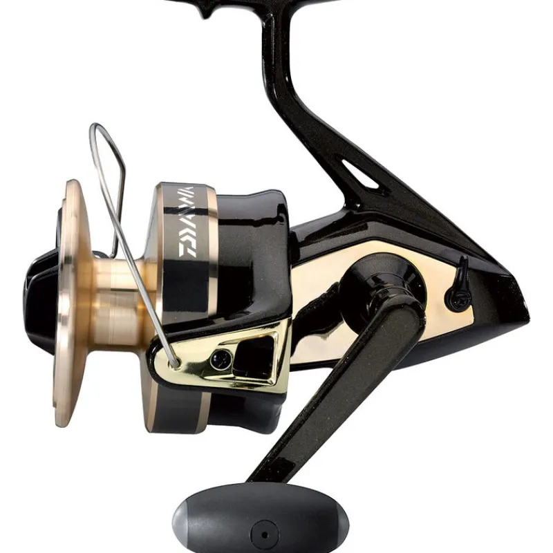 Moulinets - DAIWA Moulinet gold silver 100 b